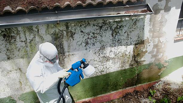 Trusted Commercial Mold Remediation service in Hamburg, MN - Cheap Mold Removal